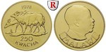 81554 250 Kwacha