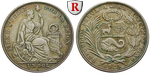 83632 Republik, Sol