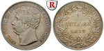 84552 Carl, Gulden