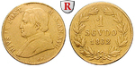 84582 Pius IX., Scudo