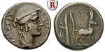 91558 Cn. Plancius, Denar
