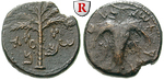 92012 Bronze