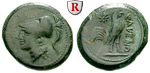 93491 Bronze