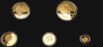 ag9832b Goldsatz