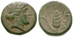egri10299 Bronze