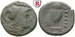 egri10571 Quincunx