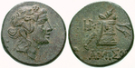 egri10593 Bronze
