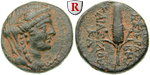 egri6553 Bronze