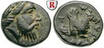 egri6642 Bronze