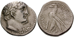 egri6708 Schekel