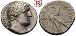 egri6728 Herodes Archelaos, Schekel