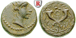 egri6809 Bronze