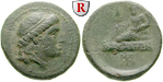 egri7046 Bronze