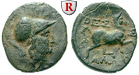 egri7149 Bronze
