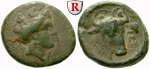 egri7179 Bronze