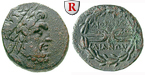 egri7324 Bronze