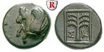 egri7333 Bronze