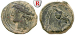 egri7399 Bronze