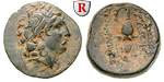 egri7549 Tryphon, Bronze
