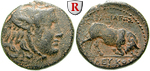 egri7620 Seleukos I., Bronze