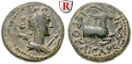 egri7768 Bronze