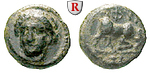 egri8104 Bronze