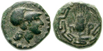 egri8148 Bronze