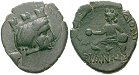 egri9531 Bronze
