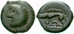 ekel321 Potin