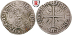 emaa632 Willem I., Gehelmde Groot
