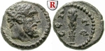 erom5751 Bronze
