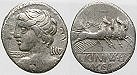 erom7757 C. Licinius Macer, Denar