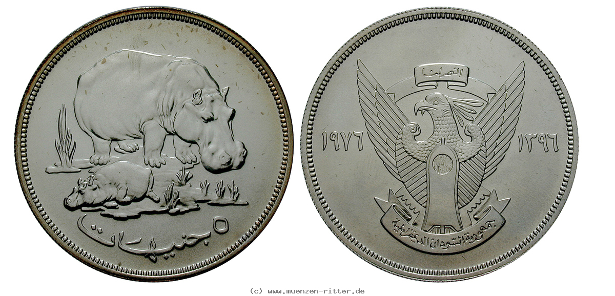 Klicken Sie auf das Bild um es auf Ihrem Rechner zu speichern sudan-republik-5-pounds/ag17728.jpg