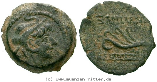 Klicken Sie auf das Bild um es auf Ihrem Rechner zu speichern syrien-alexander-ii-dichalkon/egri9461.jpg