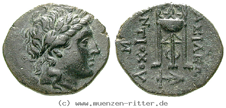 Klicken Sie auf das Bild um es auf Ihrem Rechner zu speichern syrien-antiochos-ii-bronze/13696.jpg