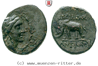 Klicken Sie auf das Bild um es auf Ihrem Rechner zu speichern syrien-antiochos-iii-bronze/101455.jpg