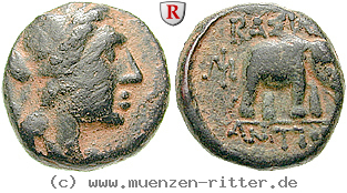 syrien-antiochos-iii-bronze/egri8058.jpg