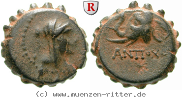 Klicken Sie auf das Bild um es auf Ihrem Rechner zu speichern syrien-antiochos-iv-bronze-serratus/egri8041.jpg