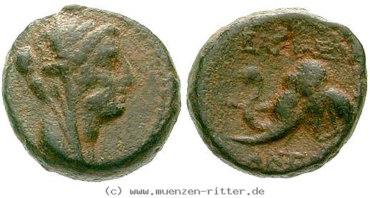 syrien-antiochos-iv-bronze/egri7456.jpg