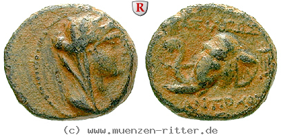 syrien-antiochos-iv-bronze/egri7457.jpg