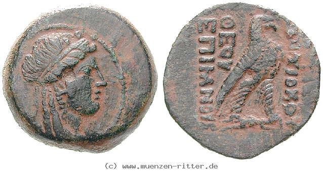 Klicken Sie auf das Bild um es auf Ihrem Rechner zu speichern syrien-antiochos-iv-bronze/egri8108.jpg