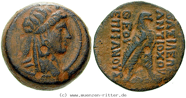 Klicken Sie auf das Bild um es auf Ihrem Rechner zu speichern syrien-antiochos-iv-bronze/egri9198.jpg