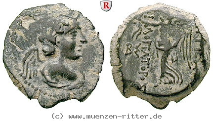 syrien-antiochos-ix-bronze/egri8170.jpg