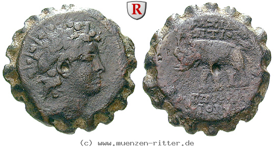 Klicken Sie auf das Bild um es auf Ihrem Rechner zu speichern syrien-antiochos-vi-bronze-serratus/86835.jpg
