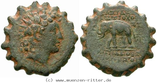 syrien-antiochos-vi-bronze-serratus/egri8161.jpg