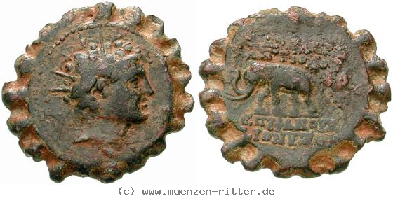 syrien-antiochos-vi-bronze-serratus/egri8163.jpg