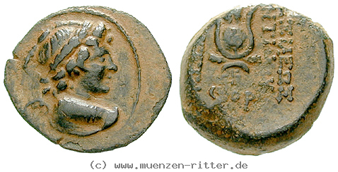 Klicken Sie auf das Bild um es auf Ihrem Rechner zu speichern syrien-antiochos-vii-bronze/44022.jpg