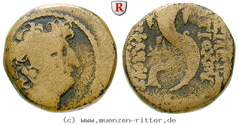 Klicken Sie auf das Bild um es auf Ihrem Rechner zu speichern syrien-antiochos-viii-bronze/66432.jpg