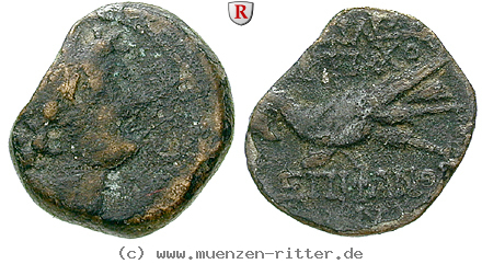 Klicken Sie auf das Bild um es auf Ihrem Rechner zu speichern syrien-antiochos-viii-bronze/66434.jpg