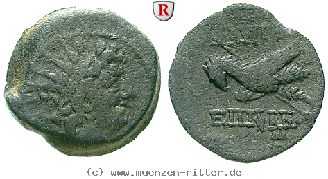 Klicken Sie auf das Bild um es auf Ihrem Rechner zu speichern syrien-antiochos-viii-bronze/66435.jpg